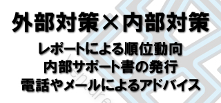 外部対策×内部対策 レポートによる順位動向や内部サポート書、電話・メールでのサポート